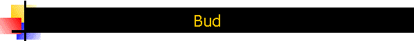 Bud