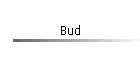 Bud