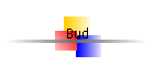 Bud