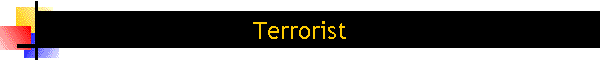 Terrorist