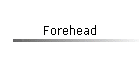 Forehead