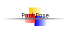 Pool Pose