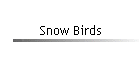 Snow Birds