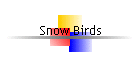 Snow Birds