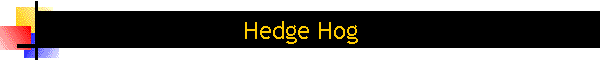 Hedge Hog