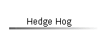 Hedge Hog