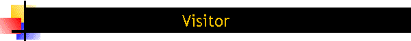 Visitor