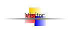 Visitor