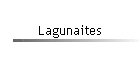 Lagunaites