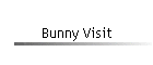 Bunny Visit