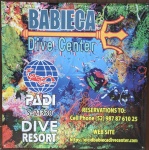 First Dive