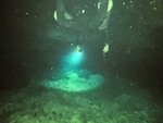 Our Descent