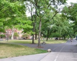 Quad View