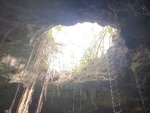 Jungle Access