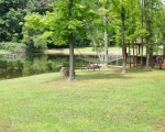 Shared Pond
