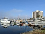 Dock Life