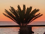 Setting Sun
