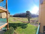 Gatlinburg-2022-2.jpg