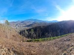 Gatlinburg-2022-3.jpg