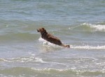 Fetching