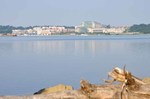 The Harbor