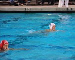 Swimmers