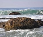 More Waves