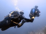 Another Diver