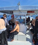 South FL Diving HQ