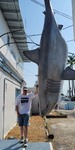 Big One