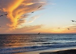 Clouds #1