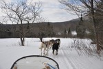 The Trail