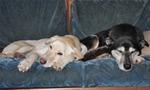 More Rest