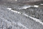 Snow Covered