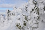 Wintery