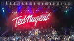Ted