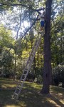 The Climb