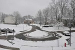Court View