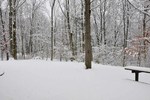 Deck View
