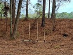The Targets