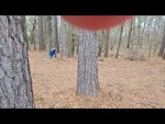 More Scenarios