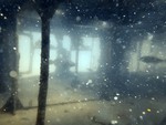 Scatter