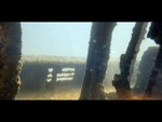 Red Sea Video