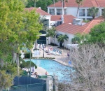 Pool Shot