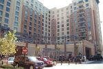 Swimmers
