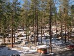 Wooded