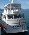 Bleu Wave