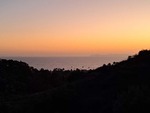 Catalina
