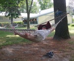 Zonked