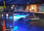 Shark Tank